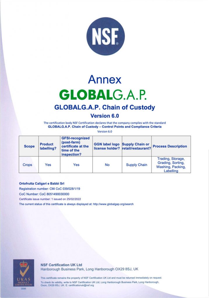 Global-Gap-2022_01